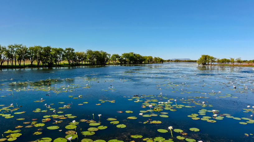 Descubra com Leonardo Rocha de Almeida Abreu as belezas e segredos do Pantanal selvagem.