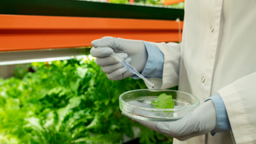 Segundo Aldo Vendramin, o uso de biodefensivos combina eficiência técnica, segurança ambiental e exigências de mercado.